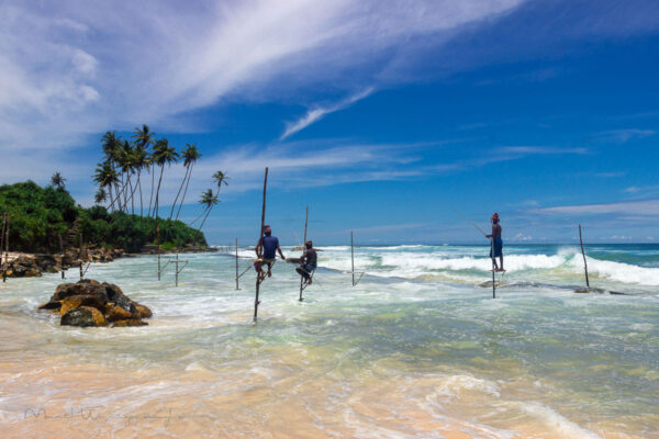 Viaje a Sri Lanka: Mejores playas como Mirissa, Bentota y Nilaveli. Surf, snorkel y avistamiento de ballenas/tortugas.
