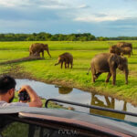 aventura en Sri Lanka