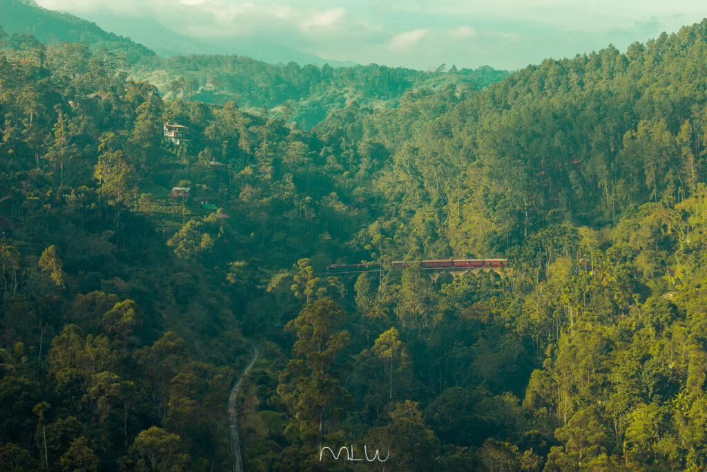 Fotografía de viajes Sri Lanka tren Nine Arches Ella amanecer niebla Hill Country